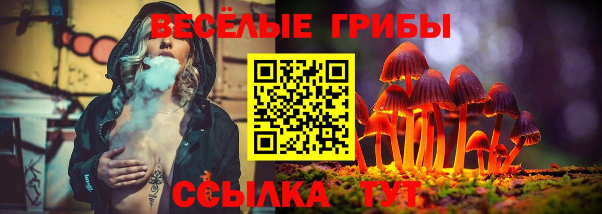 Псилоцибиновые грибы MAGIC MUSHROOMS Сочи